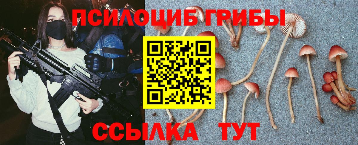 Псилоцибиновые грибы ЛСД Волжск